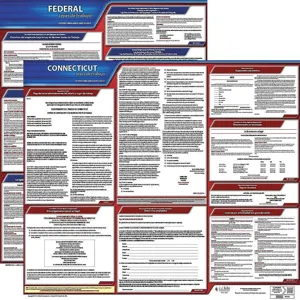 JJ KELLER 200-CT-3 Labor Law Poster Federal / State CT SP 20 Inch Height 3 Year | AH6RBW 36EW27