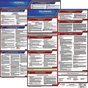 JJ KELLER 200-DE-3 Labor Law Poster Federal / State DE SP 20 Inch Height 3 Year | AH6RBZ 36EW30