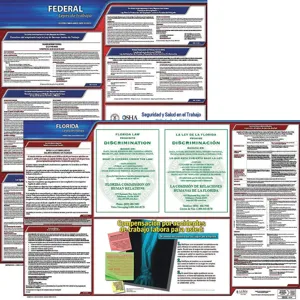 JJ KELLER 200-FL-3 Labor Law Poster Federal / State FL SP 20 Inch Height 3 Year | AH6RCA 36EW31