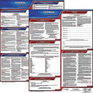 JJ KELLER 200-GA-5 Labor Law Poster Federal and State GA SP 20 Inch Height 5 Year | AH6RGR 36EX39