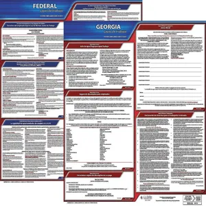 JJ KELLER 200-GA-3 Labor Law Poster Federal / State GA SP 20 Inch Height 3 Year | AH6RCB 36EW32