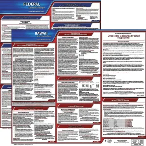 JJ KELLER 200-HI-1 Labor Law Poster Federal and State HI SP 20 Inch Height 1 Year | AH6QXM 36EV26