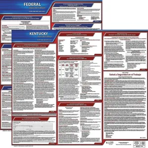 JJ KELLER 200-KY-5 Labor Law Poster Federal and State KY SP 20 Inch Height 5 Year | AH6RGZ 36EX46