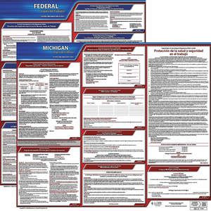 JJ KELLER 200-MN-1 Labor Law Poster Federal and State MN SP 20 Inch Height 1 Year | AH6QYA 36EV38