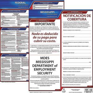 JJ KELLER 200-MS-1 Labor Law Poster Federal and State MS SP 20 Inch Height 1 Year | AH6QYC 36EV40