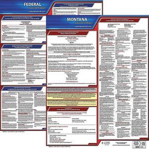 JJ KELLER 200-MT-1 Labor Law Poster Federal and State MT SP 20 Inch Height 1 Year | AH6QYD 36EV41