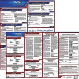 JJ KELLER 200-NV-1 Labor Law Poster Federal and State NV SP 20 Inch Height 1 Year | AH6QYL 36EV48