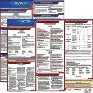 JJ KELLER 200-NY-1 Labor Law Poster Federal and State NY SP 20 Inch Height 1 Year | AH6QYM 36EV49