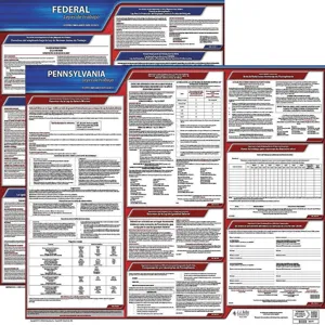 JJ KELLER 200-PA-3 Labor Law Poster Federal / State PA SP 20 Inch Height 3 Year | AH6RDG 36EW60