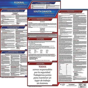 JJ KELLER 200-SD-K Labor Law Poster Kit SD Spanish 19 Inch Width | AH2JDC 29EC88