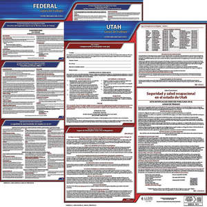 JJ KELLER 200-UT-1 Labor Law Poster Federal and State UT SP 20 Inch Height 1 Year | AH6QZA 36EV61