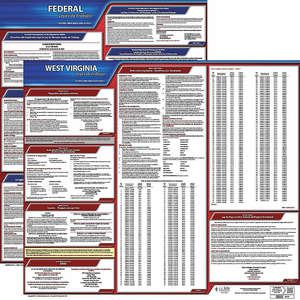 JJ KELLER 200-WV-3 Labor Law Poster Federal / State WV SP 20 Inch Height 3 Year | AH6RDW 36EW73