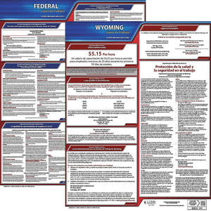 JJ KELLER 200-WY-5 Labor Law Poster Federal and State WY SP 20 Inch Height 5 Year | AH6RJM 36EX81
