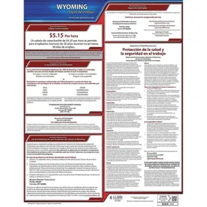 JJ KELLER 200-WY Labor Law Poster State Labor Law WY | AH2HYY 29EA91