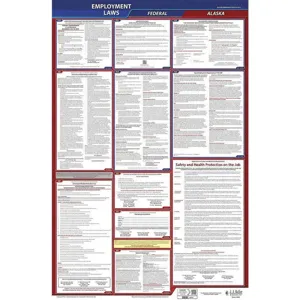 JJ KELLER 300-AK Labor Law Poster Federal and State AK ENG 40Wx26 Inch Height | AH6PZG 36EN33