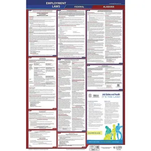 JJ KELLER 300-AL Labor Law Poster Federal and State AL ENG 40Wx26 Inch Height | AH6PZH 36EN34