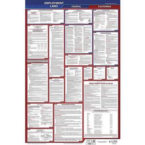 JJ KELLER 300-CA Labor Law Poster Federal and State CA ENG 40Wx26 Inch Height | AH6PZL 36EN37