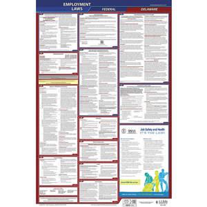 JJ KELLER 300-DE-3 Labor Law Poster Federal and State DE ENG 26 Inch Height 3 Year | AH6QJW 36ER55