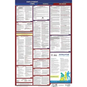 JJ KELLER 300-DE Labor Law Poster Federal and State DE ENG 40Wx26 Inch Height | AH6PZQ 36EN41