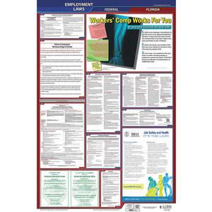 JJ KELLER 300-FL-1 Labor Law Poster Federal / State FL ENG 26 Inch Height 1 Year | AH6QEG 36EP49