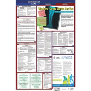 JJ KELLER 300-FL-1 Labor Law Poster Federal / State FL ENG 26 Inch Height 1 Year | AH6QEG 36EP49