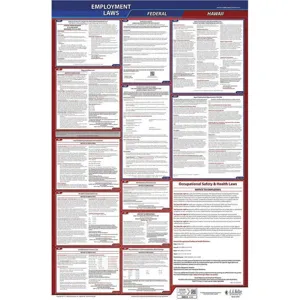 JJ KELLER 300-HI-3 Labor Law Poster Federal and State HI ENG 26 Inch Height 3 Year | AH6QJZ 36ER58