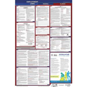 JJ KELLER 300-IL-3 Labor Law Poster Federal and State IL ENG 26 Inch Height 3 Year | AH6QKC 36ER61