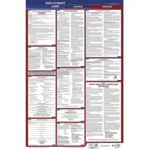 JJ KELLER 300-IN-3 Labor Law Poster Federal and State IN ENG 26 Inch Height 3 Year | AH6QKD 36ER62