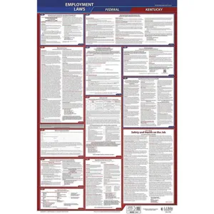 JJ KELLER 300-KY Labor Law Poster Federal and State KY ENG 40Wx26 Inch Height | AH6QAA 36EN50