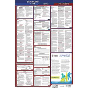 JJ KELLER 300-MA Labor Law Poster Federal and State MA ENG 40Wx26 Inch Height | AH6QAC 36EN52