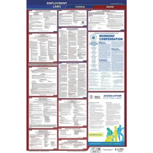 JJ KELLER 300-ME Labor Law Poster Federal and State ME ENG 40Wx26 Inch Height | AH6QAE 36EN54