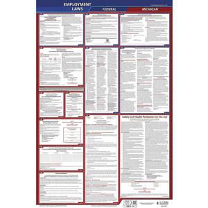 JJ KELLER 300-MN Labor Law Poster Federal and State MN ENG 40Wx26 Inch Height | AH6QAG 36EN56