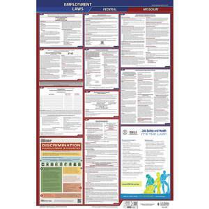 JJ KELLER 300-MO Labor Law Poster Federal and State MO ENG 40Wx26 Inch Height | AH6QAH 36EN57
