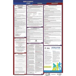 JJ KELLER 300-MS-3 Labor Law Poster Federal and State MS ENG 26 Inch Height 3 Year | AH6QKP 36ER72