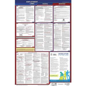 JJ KELLER 300-MT-3 Labor Law Poster Federal and State MT ENG 26 Inch Height 3 Year | AH6QKQ 36ER73