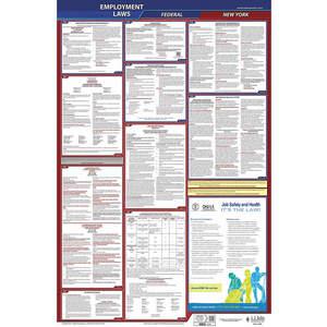 JJ KELLER 300-NY-1 Labor Law Poster Federal and State NY ENG 26 Inch Height 1 Year | AH6QFJ 36EP74