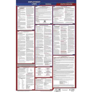 JJ KELLER 300-SC-1 Labor Law Poster Federal and State SC ENG 26 Inch Height 1 Year | AH6QFR 36EP81