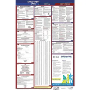 JJ KELLER 300-WV Labor Law Poster Federal / State WV ENG 40Wx26 Inch Height | AH6QBM 36EN84