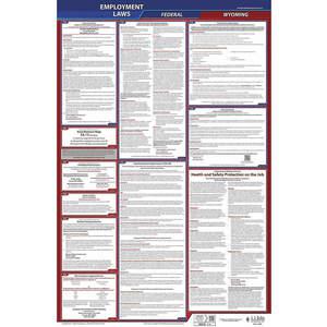 JJ KELLER 300-WY Labour Law Poster Federal/State WY ENG 40Wx26 Inch Height | AH6QBN 36EN85