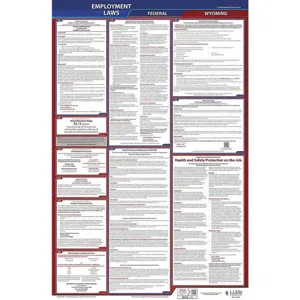 JJ KELLER 300-WY Labor Law Poster Federal / State WY ENG 40Wx26 Inch Height | AH6QBN 36EN85