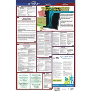 JJ KELLER 400-FL-1 Labor Law Poster Federal and State FL SP 26 Inch Height 1 Year | AH6QGP 36ER03