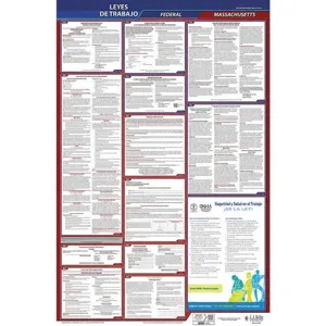 JJ KELLER 400-MA Labor Law Poster Federal / State MA SP 40Wx26 Inch Height | AH6QCK 36EP06