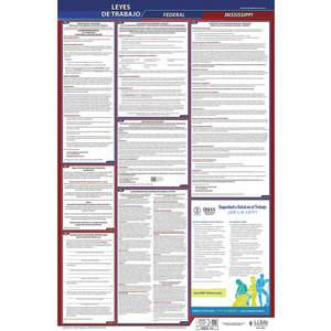 JJ KELLER 400-MS-5 Labor Law Poster Federal and State MS SP 26 Inch Height 5 Year | AH6QTM 36EU33