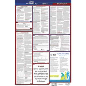 JJ KELLER 400-SD-1 Labor Law Poster Federal and State SD SP 26 Inch Height 1 Year | AH6QJA 36ER36