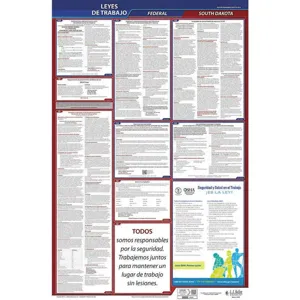 JJ KELLER 400-SD-3 Labor Law Poster Federal / State SD SP 26 Inch Height 3 Year | AH6QNQ 36ET43