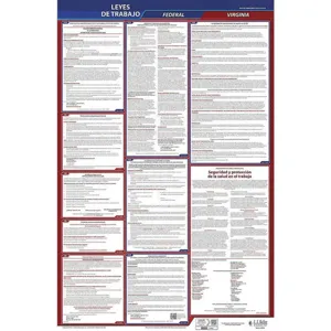 JJ KELLER 400-VA-1 Labor Law Poster Federal and State VA SP 26 Inch Height 1 Year | AH6QJF 36ER41