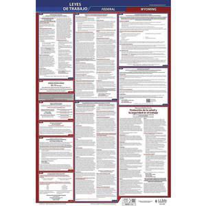 JJ KELLER 400-WY-3 Labor Law Poster STA WY ENG 40Wx26 Inch Height 3 Year | AH6QPB 36ET53