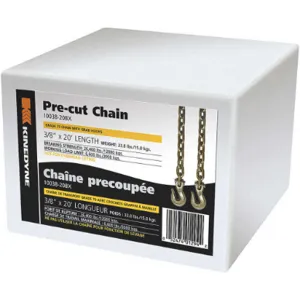 KINEDYNE 10038-20BXGRA Transport Chain 6600 Lb 20 Feet x 3/8 Inch | AB6YAE 22P605