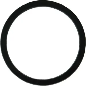 KISSLER & CO 71-0019 Cap Gasket Bonnet Washer Nylon | AH3KUF 32PE91