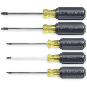 KLEIN TOOLS 19555 Screwdriver Set, 8-5/16 Inch Length, 5 Piece | AB4HPX 1YBR7 / 19555-6